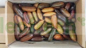 LIME FINGER X 40 GR