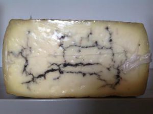 MOLITERNO TARTUFO