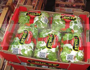 BABY GEM LETTUCE