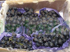 GRAPES BLACK  SEEDLESS