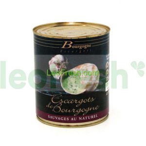 MEDIUM SNAILS 12 DOZEN TIN 4/4