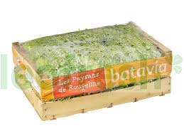 BATAVIA SALAD