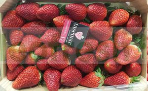 STRAWBERRY X 1 KG