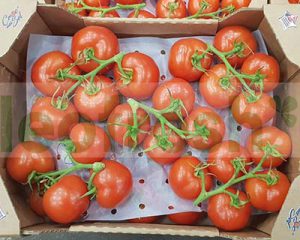 TOMATO IN WINE