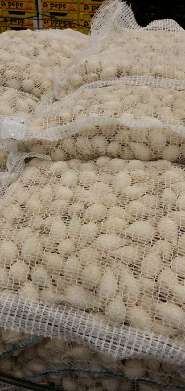 PEARL ONION WHITE