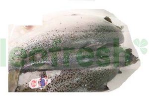 SALMON LABEL RED 4/5