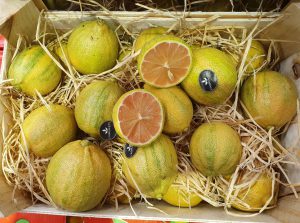 PINK LEMON