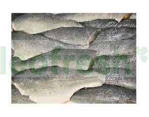 SEABASS FILET 140/180