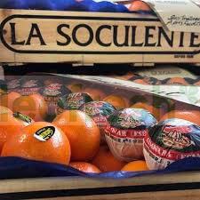 CLEMENTINE SUCCULENTE CAL 1