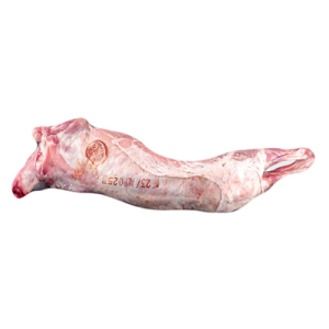 MILK LAMB FROM PYRENEES