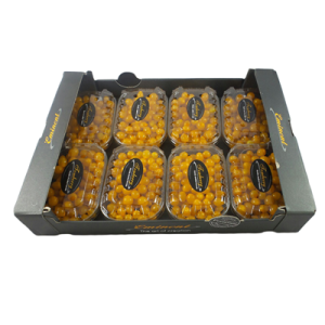 TOMATO TOM BERRY YELLOW