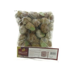 FROZEN EXTRA LARGE SNAIL