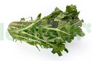 CIMA DI RAPA SALAD