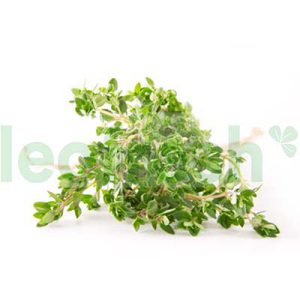 LEMON THYM