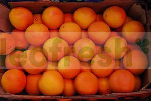 POMELOS PINK GRAPE FRUITS / GRAPEFRUIT PINK