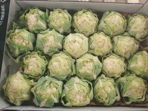 BABY CAULIFLOWER IN DISH