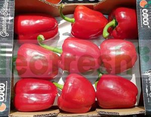 RED BELL PEPPER / CAPSICUM RED