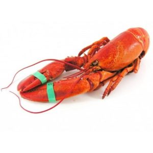 LOBSTER 350 GR FROZEN