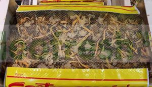 GREY CHANTERELLE X 3 KG