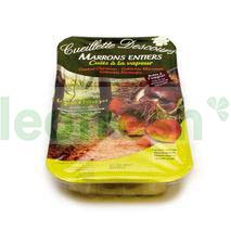 CHESTNUT VACUUM PONTIER