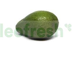 AVOCADO BIG SIZE TROPICAL