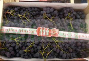 GRAPES MUSCAT