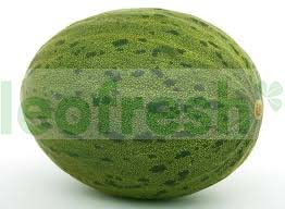 MELON GREEN