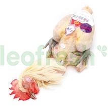 CHICKEN FROM BRESSE WITH GIBLETS