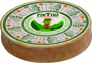 FONTINA
