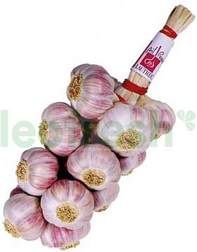 PINK GARLIC AOP FROM LAUTREC IN STRING