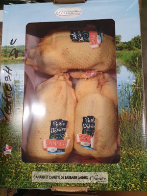 DUCKLING YELLOW FROM DOMBE OVEN READY