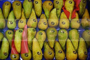 PEAR CONFERENCE