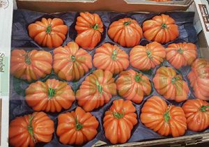 HEART OF BEEF TOMATO