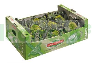 CAULIFLOWER ROMANESCO