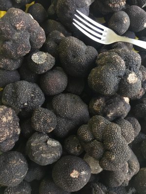 TRUFFLE TUBER MELANOSPORUM 20GR+ BLACK TRUFFLE