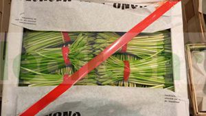 WILD ASPARAGUS IN BUNCH X 10 BUNCHES