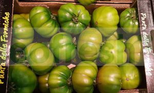 TOMATO MERINDA GREEN ITALY