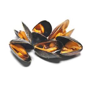 PASTERIZED MUSSELS 30-50