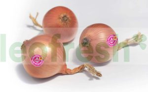ONION ROSCOFF 6/8