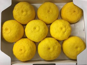 LEMON YUZU
