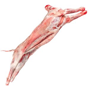 WHOLE LAMB