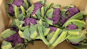 CAULIFLOWER PURPLE
