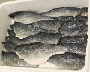 FARMED FILET SEABASS WITH SKIN 120-160