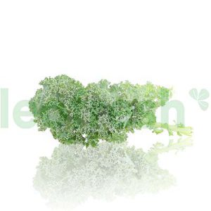 CURLY KALE