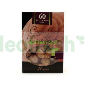 LARGE SNAIL SHELLS X60