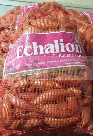 BANANA SHALLOT