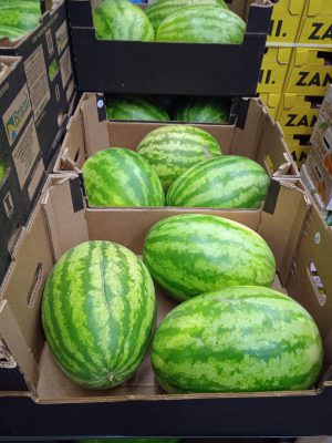 WATERMELON WITHOUT SEED
