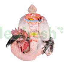 BLACK LEG CHICKEN 4 X 1.4 KG
