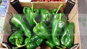 GREEN HORN PEPPER