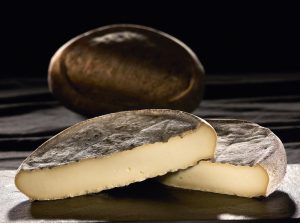 CHEESE SAINT NECTAIRE FARM